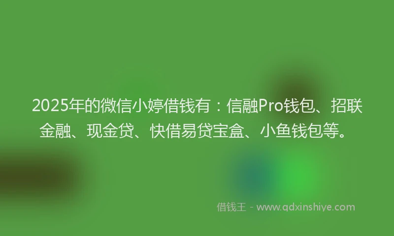 2025年的微信小婷借钱有：信融Pro钱包、招联金融、现金贷、快借易贷宝盒、小鱼钱包等。