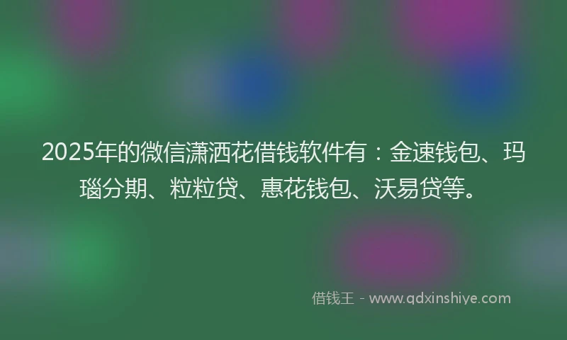2025年的微信潇洒花借钱软件有：金速钱包、玛瑙分期、粒粒贷、惠花钱包、沃易贷等。