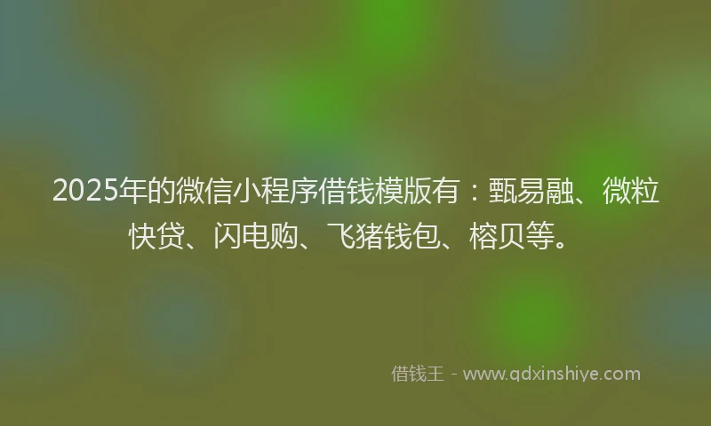 2025年的微信小程序借钱模版有：甄易融、微粒快贷、闪电购、飞猪钱包、榕贝等。