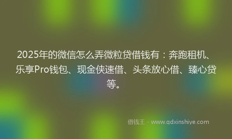2025年的微信怎么弄微粒贷借钱有：奔跑租机、乐享Pro钱包、现金侠速借、头条放心借、臻心贷等。