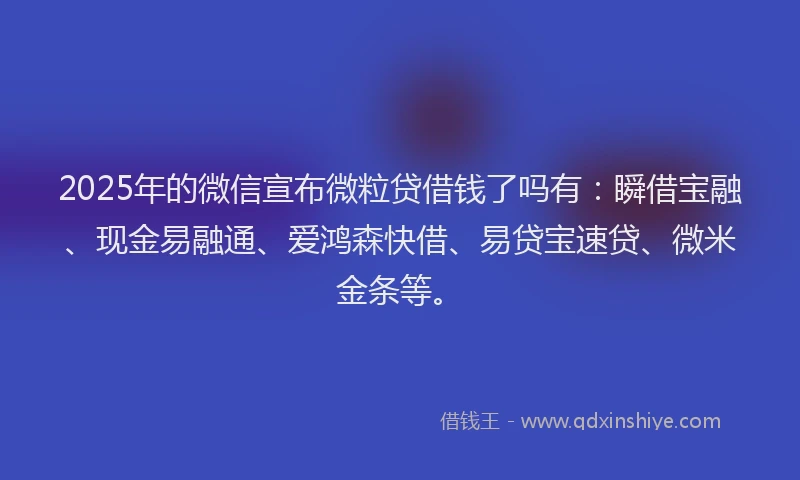 2025年的微信宣布微粒贷借钱了吗有：瞬借宝融、现金易融通、爱鸿森快借、易贷宝速贷、微米金条等。