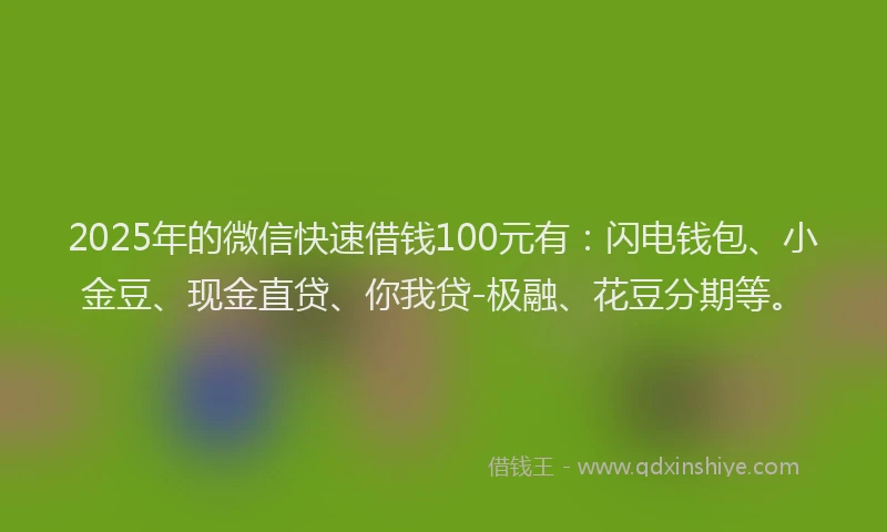 2025年的微信快速借钱100元有：闪电钱包、小金豆、现金直贷、你我贷-极融、花豆分期等。