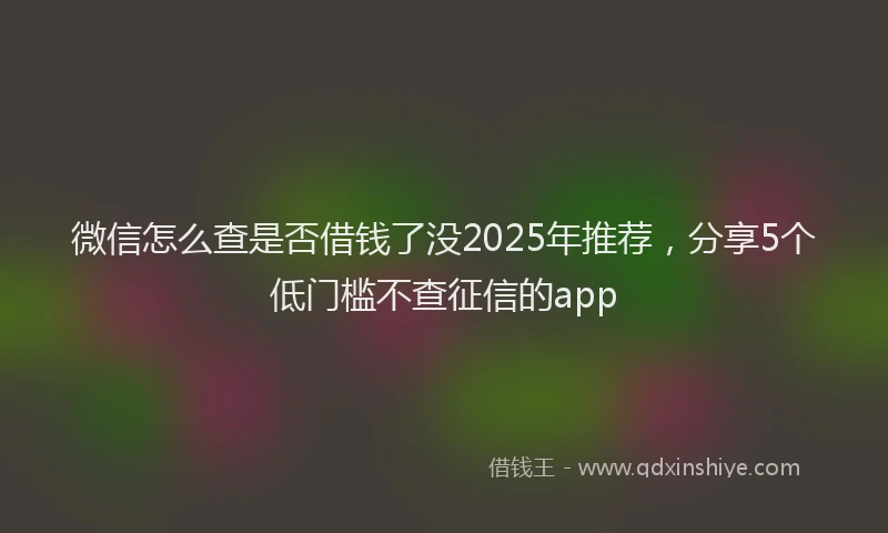 微信怎么查是否借钱了没2025年推荐，分享5个低门槛不查征信的app