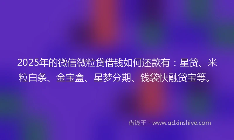 2025年的微信微粒贷借钱如何还款有：星贷、米粒白条、金宝盒、星梦分期、钱袋快融贷宝等。