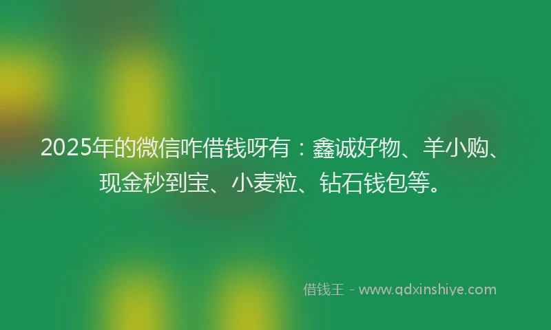 2025年的微信咋借钱呀有：鑫诚好物、羊小购、现金秒到宝、小麦粒、钻石钱包等。