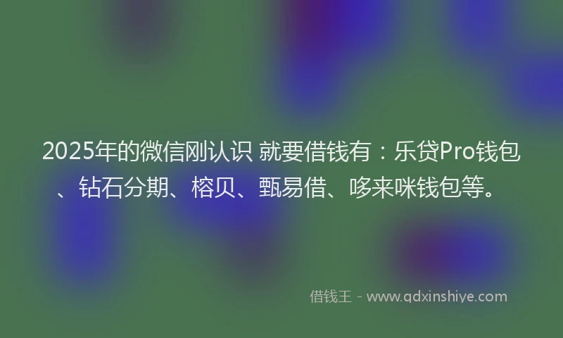 2025年的微信刚认识 就要借钱有：乐贷Pro钱包、钻石分期、榕贝、甄易借、哆来咪钱包等。