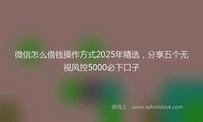 微信怎么借钱操作方式2025年精选，分享五个无视风控5000必下口子
