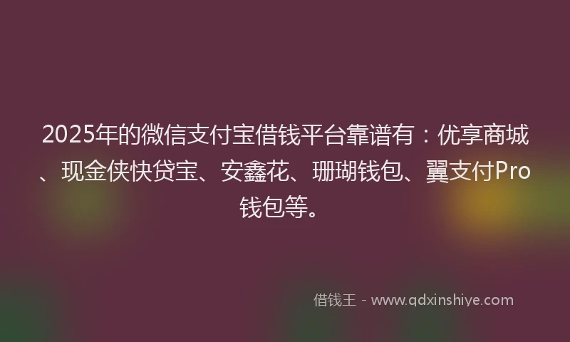 2025年的微信支付宝借钱平台靠谱有：优享商城、现金侠快贷宝、安鑫花、珊瑚钱包、翼支付Pro钱包等。