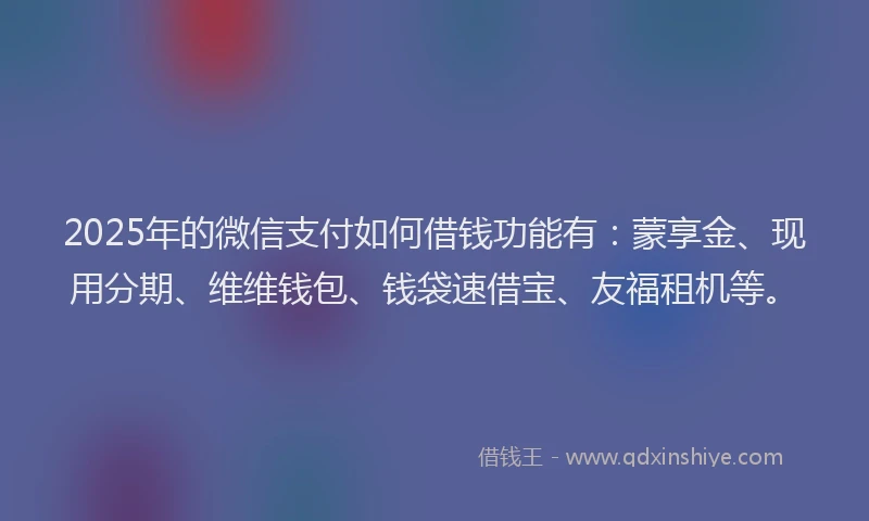 2025年的微信支付如何借钱功能有：蒙享金、现用分期、维维钱包、钱袋速借宝、友福租机等。