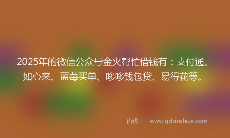 2025年的微信公众号金火帮忙借钱有：支付通、如心来、蓝莓买单、哆哆钱包贷、易得花等。