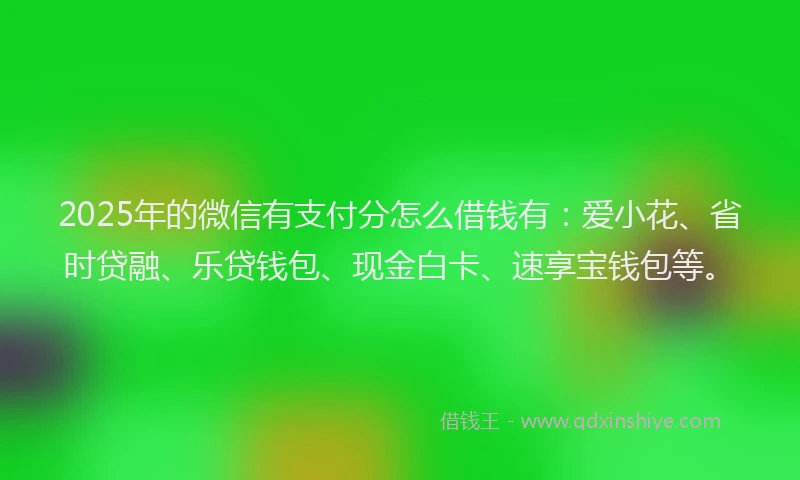 2025年的微信有支付分怎么借钱有：爱小花、省时贷融、乐贷钱包、现金白卡、速享宝钱包等。