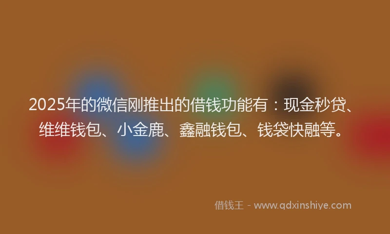 2025年的微信刚推出的借钱功能有：现金秒贷、维维钱包、小金鹿、鑫融钱包、钱袋快融等。