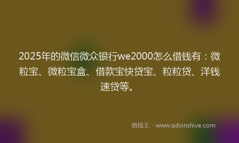 2025年的微信微众银行we2000怎么借钱有：微粒宝、微粒宝盒、借款宝快贷宝、粒粒贷、洋钱速贷等。