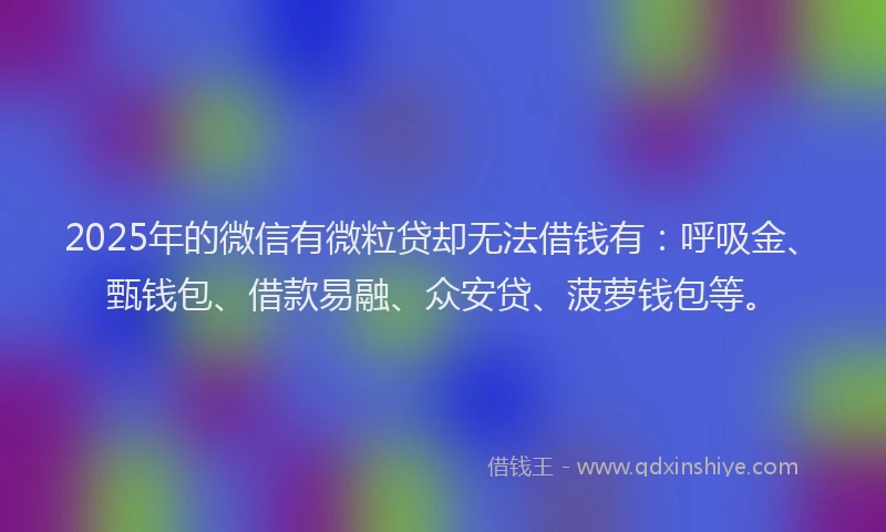 2025年的微信有微粒贷却无法借钱有：呼吸金、甄钱包、借款易融、众安贷、菠萝钱包等。