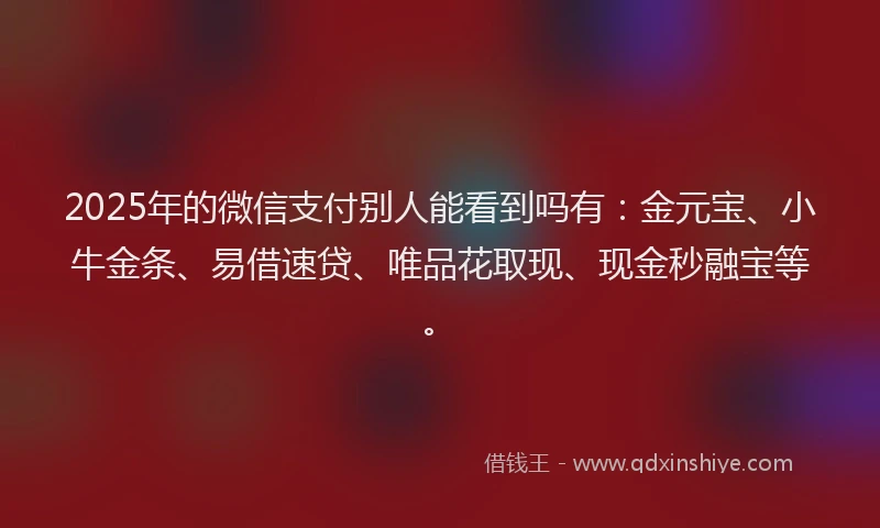 2025年的微信支付别人能看到吗有：金元宝、小牛金条、易借速贷、唯品花取现、现金秒融宝等。
