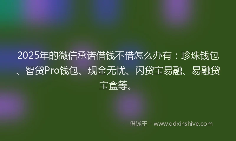 2025年的微信承诺借钱不借怎么办有：珍珠钱包、智贷Pro钱包、现金无忧、闪贷宝易融、易融贷宝盒等。