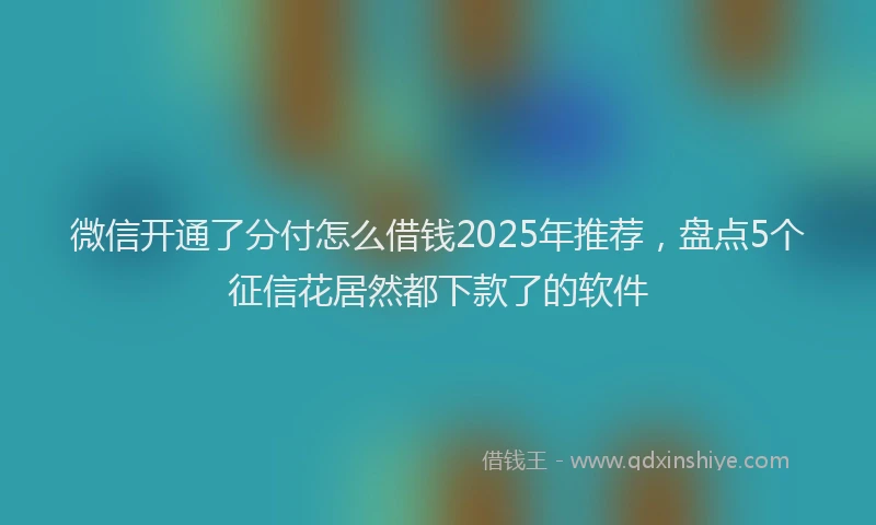 微信开通了分付怎么借钱2025年推荐，盘点5个征信花居然都下款了的软件