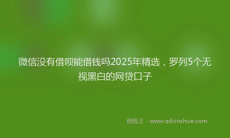 微信没有借呗能借钱吗2025年精选，罗列5个无视黑白的网贷口子