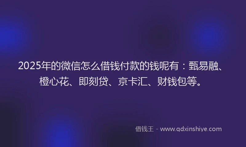 2025年的微信怎么借钱付款的钱呢有：甄易融、橙心花、即刻贷、京卡汇、财钱包等。