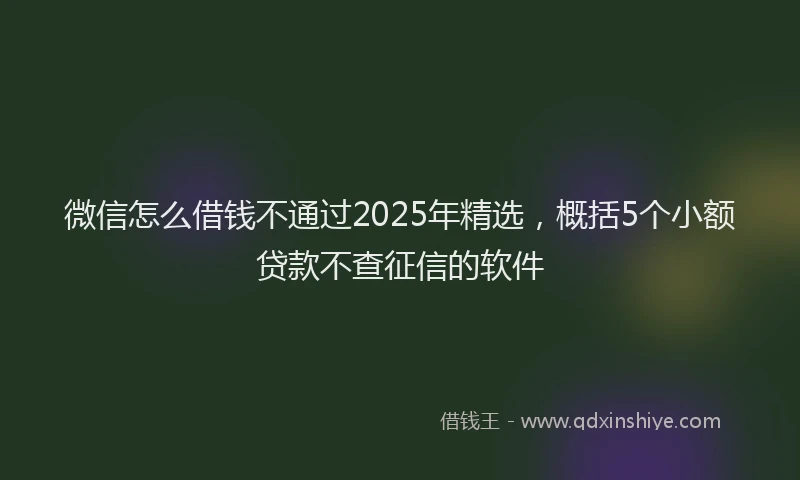 微信怎么借钱不通过2025年精选，概括5个小额贷款不查征信的软件