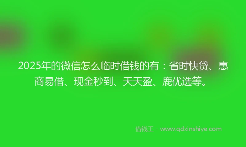 2025年的微信怎么临时借钱的有：省时快贷、惠商易借、现金秒到、天天盈、鹿优选等。