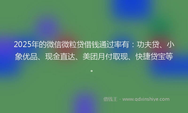 2025年的微信微粒贷借钱通过率有：功夫贷、小象优品、现金直达、美团月付取现、快捷贷宝等。