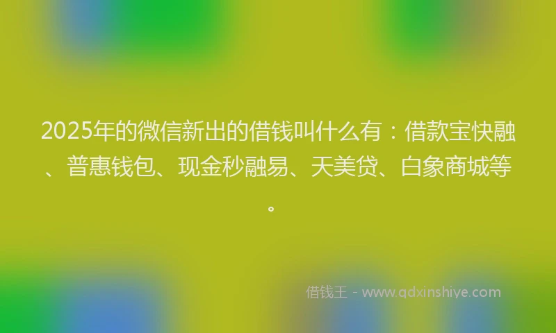 2025年的微信新出的借钱叫什么有：借款宝快融、普惠钱包、现金秒融易、天美贷、白象商城等。