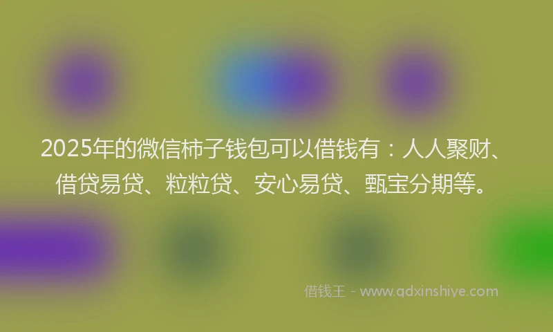 2025年的微信柿子钱包可以借钱有：人人聚财、借贷易贷、粒粒贷、安心易贷、甄宝分期等。