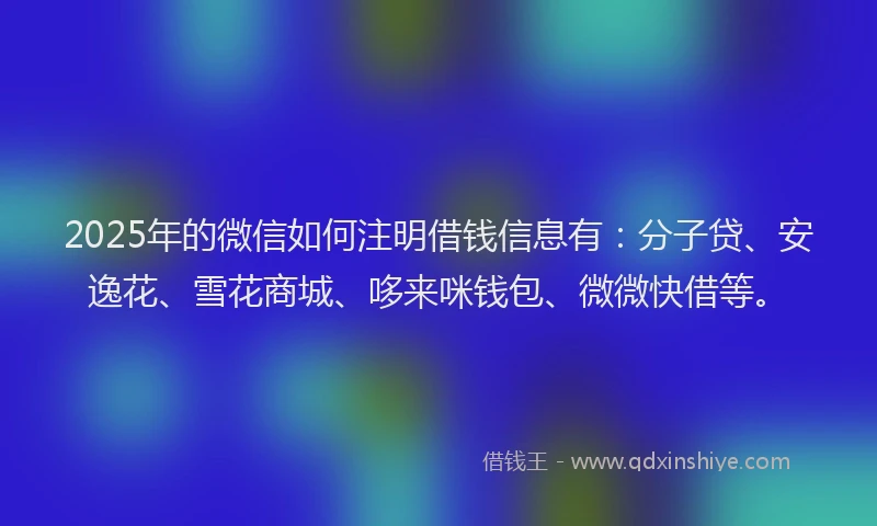 2025年的微信如何注明借钱信息有：分子贷、安逸花、雪花商城、哆来咪钱包、微微快借等。