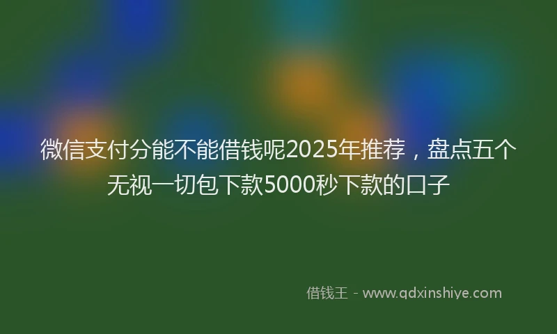 微信支付分能不能借钱呢2025年推荐，盘点五个无视一切包下款5000秒下款的口子