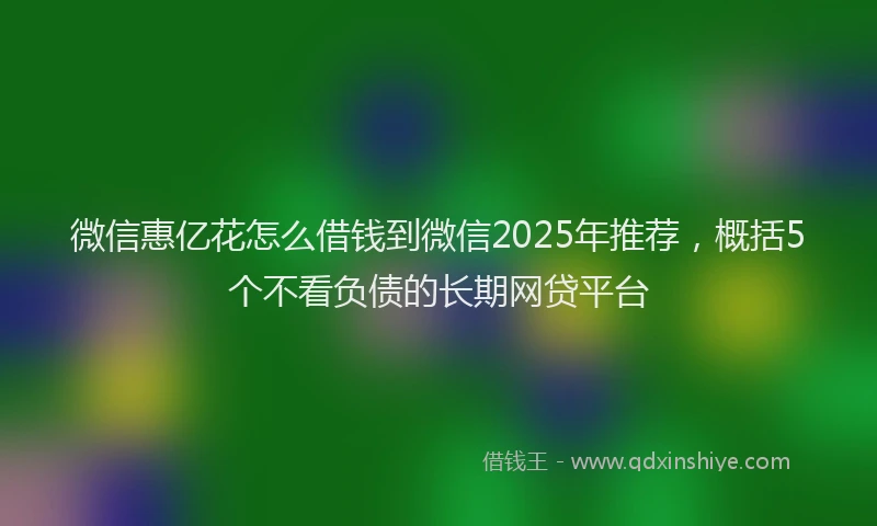 微信惠亿花怎么借钱到微信2025年推荐，概括5个不看负债的长期网贷平台