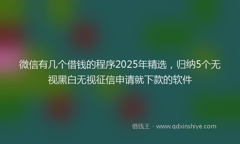 微信有几个借钱的程序2025年精选，归纳5个无视黑白无视征信申请就下款的软件