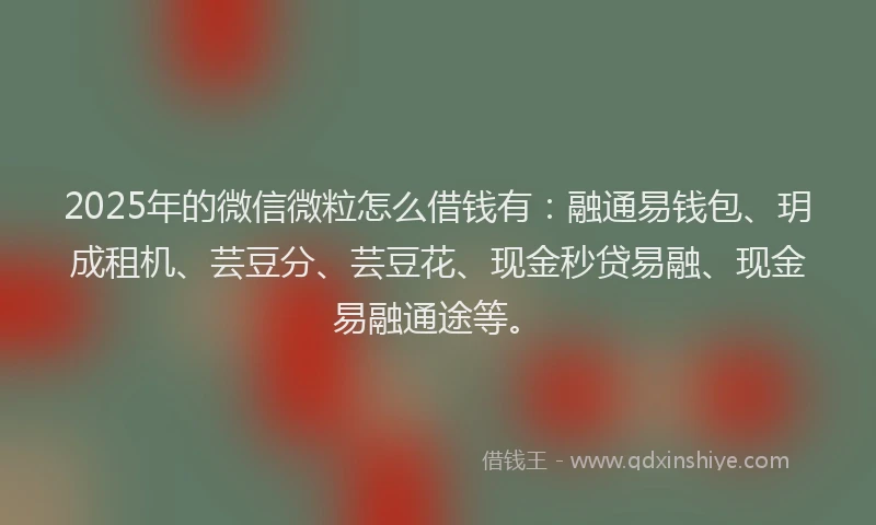 2025年的微信微粒怎么借钱有：融通易钱包、玥成租机、芸豆分、芸豆花、现金秒贷易融、现金易融通途等。