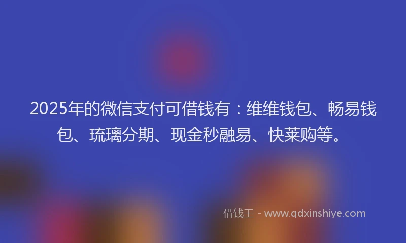 2025年的微信支付可借钱有：维维钱包、畅易钱包、琉璃分期、现金秒融易、快莱购等。
