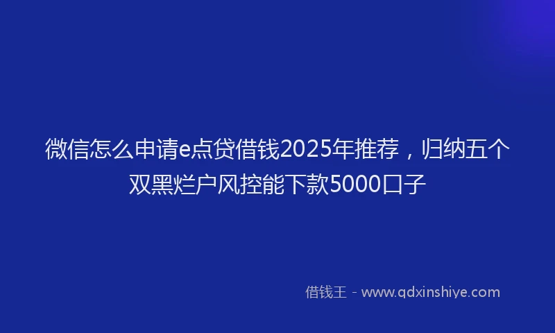 微信怎么申请e点贷借钱2025年推荐，归纳五个双黑烂户风控能下款5000口子