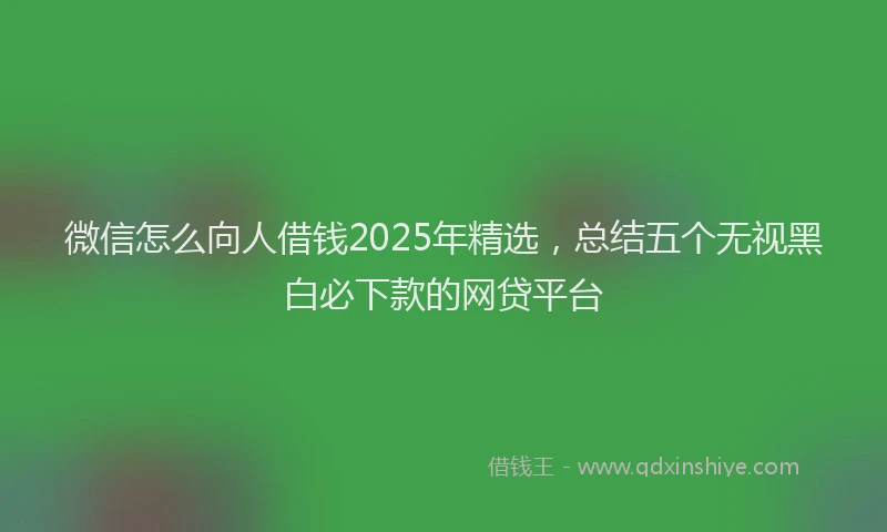 微信怎么向人借钱2025年精选，总结五个无视黑白必下款的网贷平台