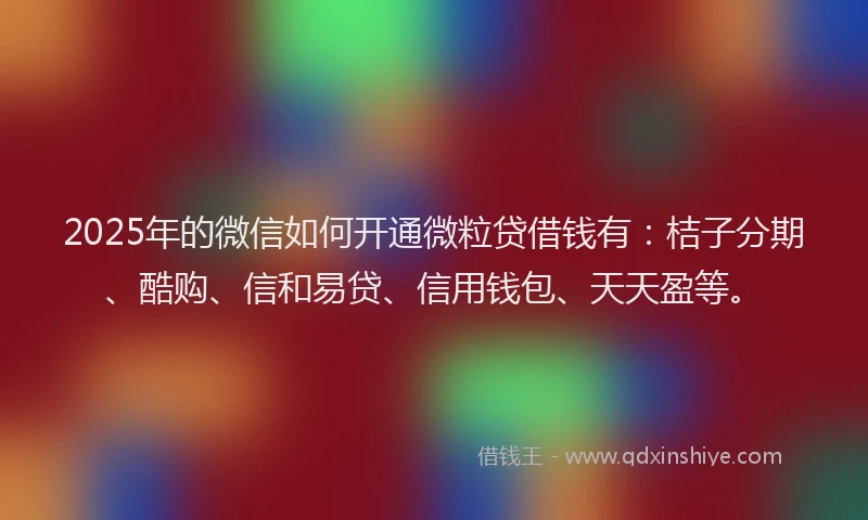 2025年的微信如何开通微粒贷借钱有：桔子分期、酷购、信和易贷、信用钱包、天天盈等。