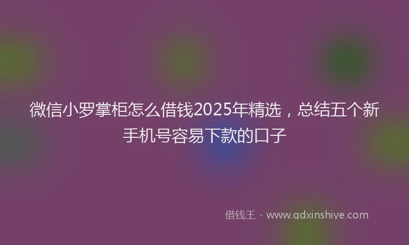 微信小罗掌柜怎么借钱2025年精选，总结五个新手机号容易下款的口子