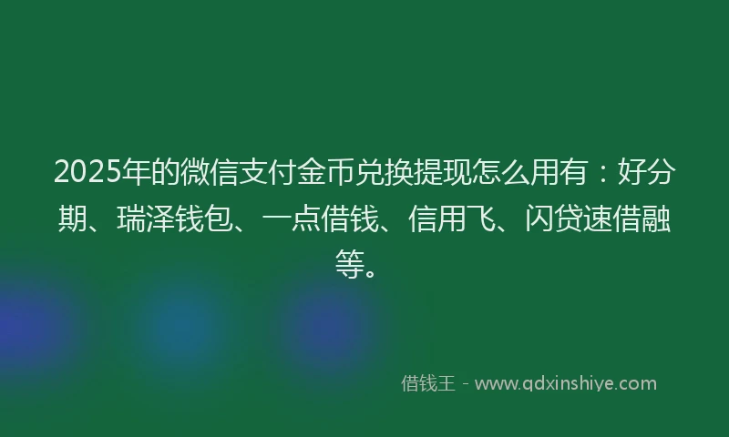 2025年的微信支付金币兑换提现怎么用有：好分期、瑞泽钱包、一点借钱、信用飞、闪贷速借融等。