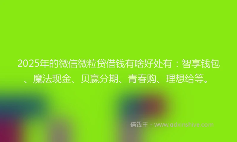 2025年的微信微粒贷借钱有啥好处有：智享钱包、魔法现金、贝赢分期、青春购、理想给等。