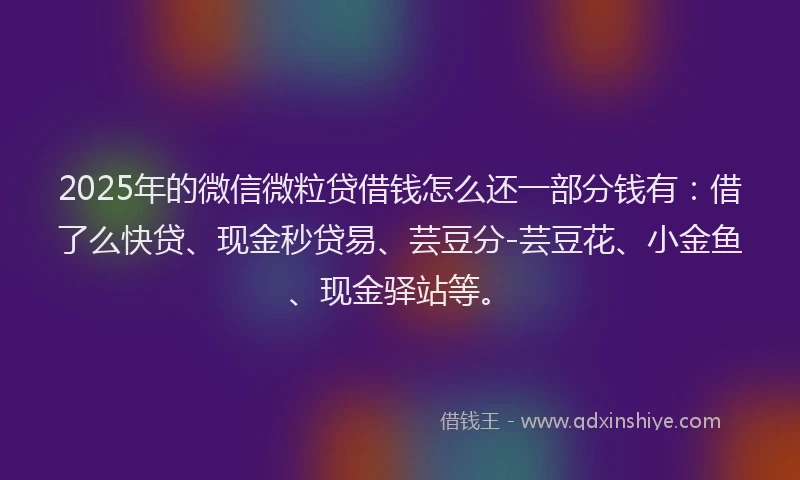 2025年的微信微粒贷借钱怎么还一部分钱有：借了么快贷、现金秒贷易、芸豆分-芸豆花、小金鱼、现金驿站等。