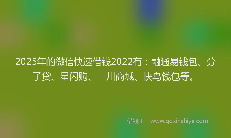 2025年的微信快速借钱2022有：融通易钱包、分子贷、星闪购、一川商城、快鸟钱包等。