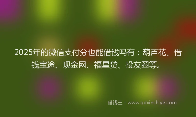 2025年的微信支付分也能借钱吗有：葫芦花、借钱宝途、现金网、福星贷、投友圈等。