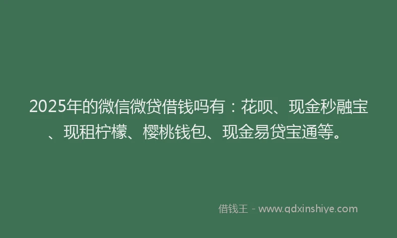 2025年的微信微贷借钱吗有：花呗、现金秒融宝、现租柠檬、樱桃钱包、现金易贷宝通等。