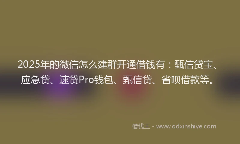 2025年的微信怎么建群开通借钱有：甄信贷宝、应急贷、速贷Pro钱包、甄信贷、省呗借款等。