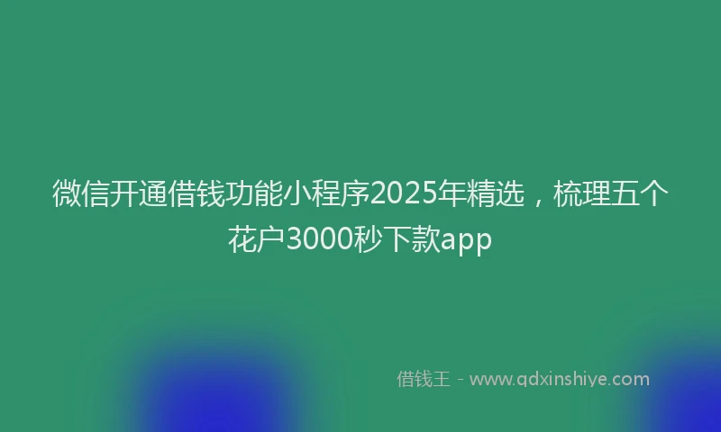 微信开通借钱功能小程序2025年精选，梳理五个花户3000秒下款app