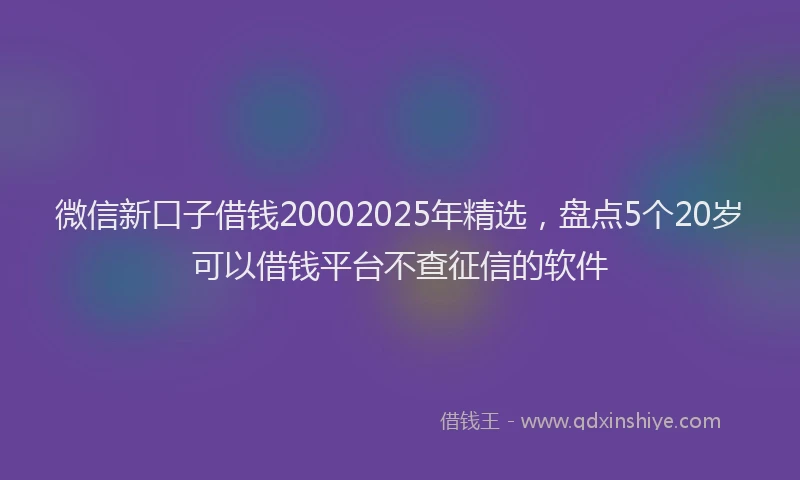 微信新口子借钱20002025年精选，盘点5个20岁可以借钱平台不查征信的软件