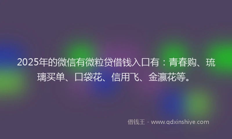 2025年的微信有微粒贷借钱入口有：青春购、琉璃买单、口袋花、信用飞、金瀛花等。