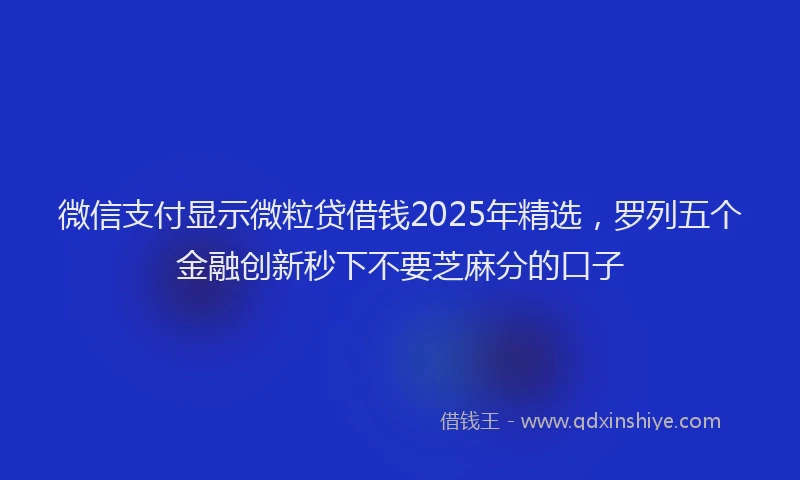 微信支付显示微粒贷借钱2025年精选，罗列五个金融创新秒下不要芝麻分的口子