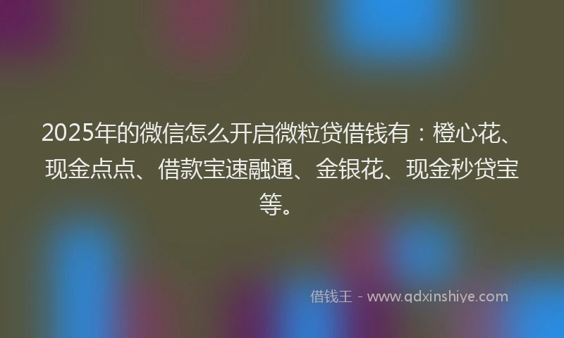 2025年的微信怎么开启微粒贷借钱有：橙心花、现金点点、借款宝速融通、金银花、现金秒贷宝等。